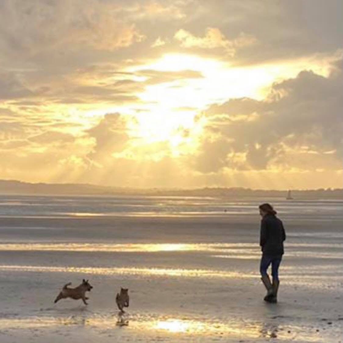 Abbie Hart walking her dogs along the shoreline at sunset