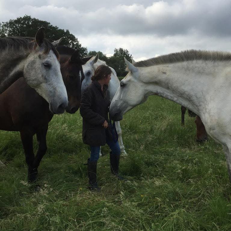 Abbie Hart surrounded by horses in a Kent field
