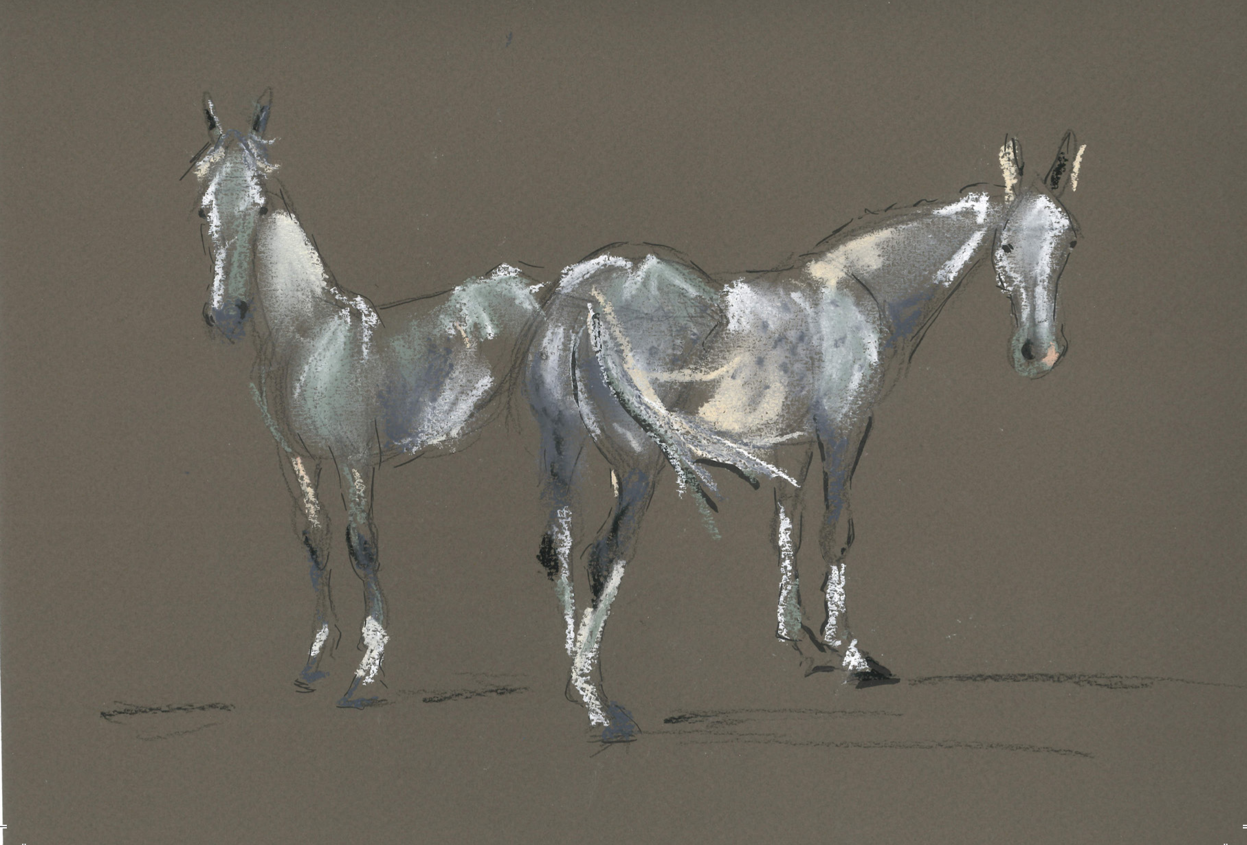Two Greys by Abbie Hart